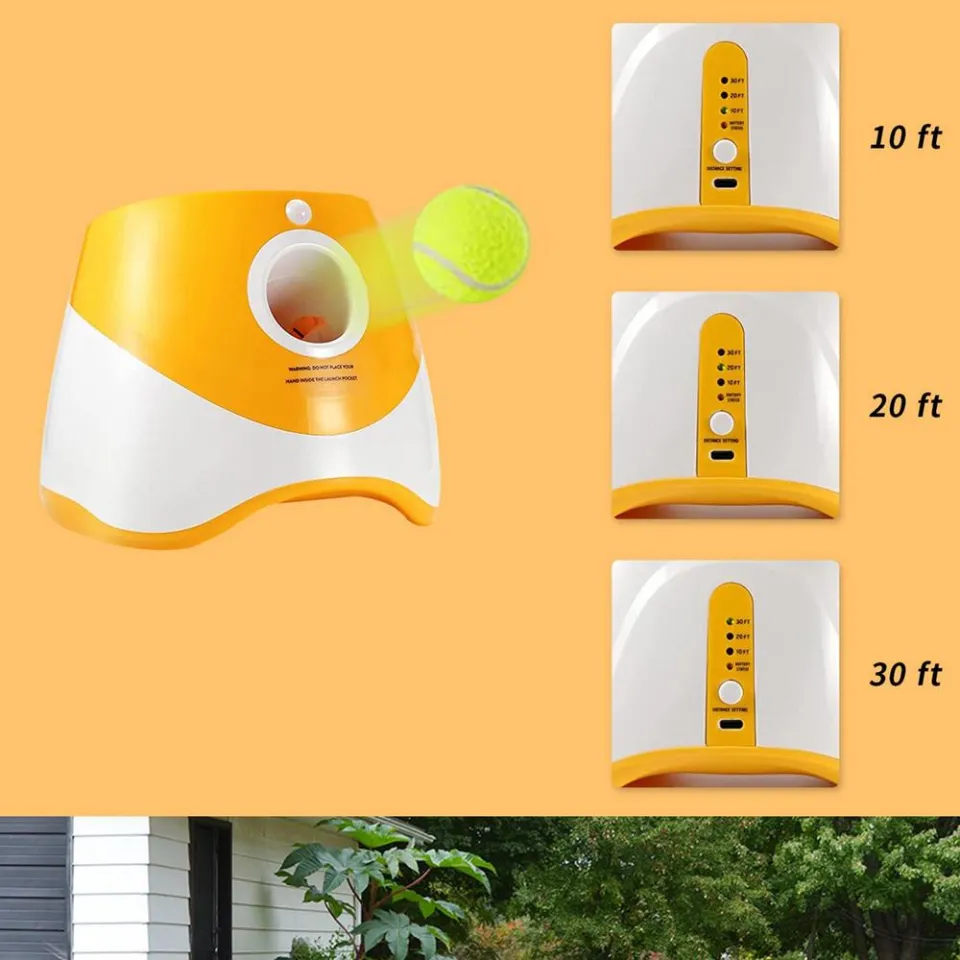 Dog ball outlet catapult