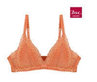 BSC lingerie ชุดชั้นในบรา NONWIRE BRA บรารูปแบบไม่มีโครง - BB3320OR