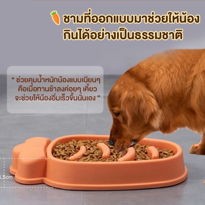 cai-cai-ชามอาหารสัตว์เลี้ยง-ชามให้อาหารสุนัข-ชามให้อาหารแมว-สุนัขและแมว-ชะลอกิน