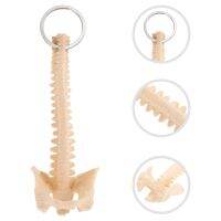 Plastic Pendant Keychain Educational Toys Kids Spine Keyring Child Mannequin Human Spine Model Small Biology Keyring