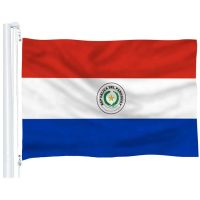 free shipping 90*150cm PY PRY The Republic of Paraguay flag high quality polyester hanging flag banner For Decoration