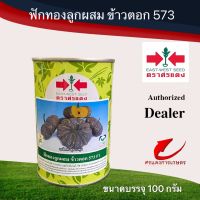 เมล็ดพันธุ์ ฟักทองลายข้าวตอก573 100g