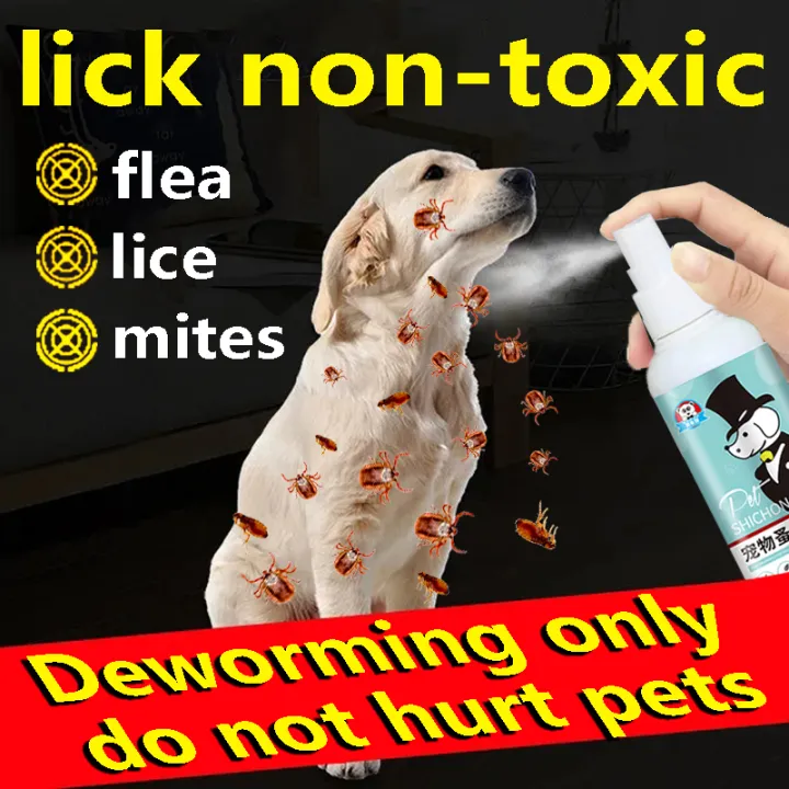 Petstone Tick and Flea Killer for Dogs 100 Effective Dog Flea and Tick Remover Natural Herbal