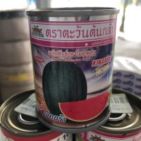 เมล็ดแตงโม กินรี เอ็กตร้า 40 กรัม ตะวันต้นกล้า