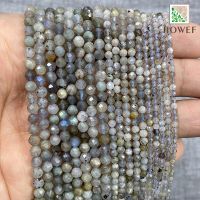 【CW】⊙☊  Faceted Gray Labradorite Round Loose Beads Accessories Earrings for Jewelry Making 2/3/4mm 15 Strand