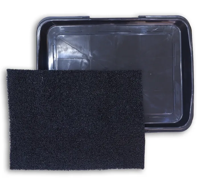 Disinfectant Mat and Tray Lazada PH