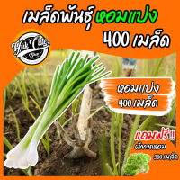 (แถมเมล็ดผักสลัด) เมล็ดพันธุ์ผักหอมเเบ่ง 400 เมล็ด อัตราการงอก 80% ต้นหอม เมล็ดต้นหอม หอม เมล็ดผัก ผักสวนครัว เมล็ดพืช พันธุ์พืช หอมเเบ่ง