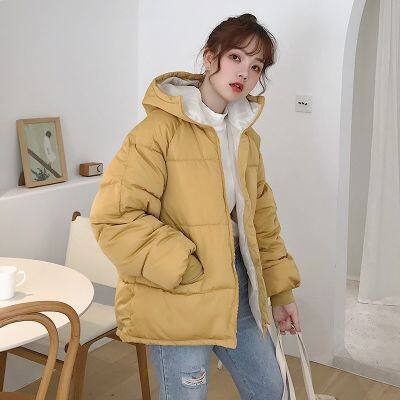 Thickened Windbreaker Jacket