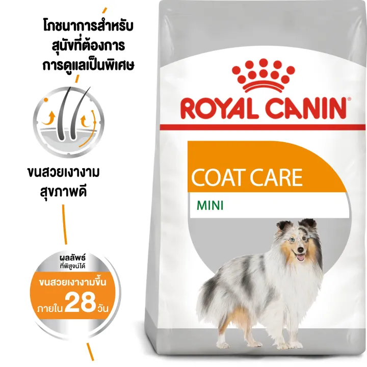 หมดอายุ6-24-royal-canin-mini-coat-care-3-kg-อาหารบำรุงผิวหนังสำหรับสุนัข