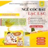 Ngũ cốc bầu lạc lạc plus mẫu mới 36 loại hạt không đậu nành - ảnh sản phẩm 4