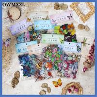 OWMXZL 320pcs สัตว์เลี้ยงสำหรับสัตว์เลี้ยง สติกเกอร์ติดผนัง หลากสี สติกเกอร์แบบใส อุปกรณ์ทำสมุดภาพ สติกเกอร์แมลงปอ ดีไอวาย