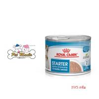 Royal Canin STARTER MOUSSE ชนิดเปียก (แบบกระป๋อง) สำหรับแม่และลูกสุนัข (195กรัม)