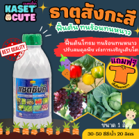 ? แถมฟรีเสื้อ 1 ตัว แซดซิงค์ (สังกะสี10%) ปรับสมดุลพืช ทนร้อนทนหนาว ฟื้นฟูต้นโทรม (1ลิตร)