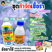 ? ชุดกำจัดเชื้อรา แซดเทบู+ไอโซโพไทโอเลน บรรจุ 500ซีซี+1ลิตร ป้องกันโรคเมล็ดด่าง ใบไหม้ กาบใบแห้ง แถมฟรีนูโปรมิกซ์ ซองชมพู