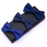 New Royal Blue Gentleman Bow Tie Mens Business Fashion Elegant Small Checkered Yarn-dyed Silk Bow Tie Supply Boys Clothing