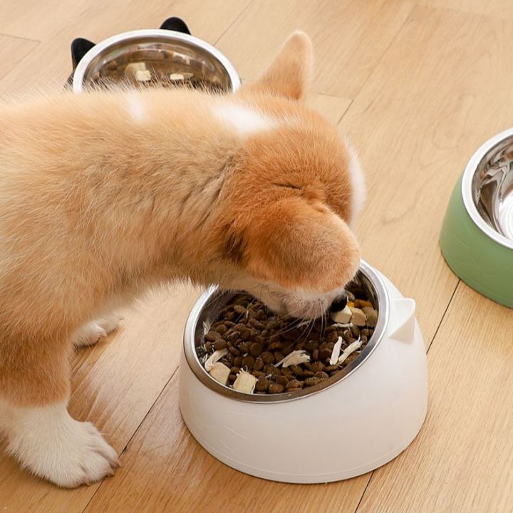 dog-bowl-ชามอาหารสุนัข-ชามอาหารสัตว์เลี้ยง-ชามอาหารสัตว์-ชามอาหาร-ชามข้าวแมว-ชามข้าวสุนัข-ชามอาหารและชามให้น้ำราคาถูกพร้อมส่ง