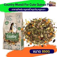 Country guinea pig คันทรี คาเวีย หนูแกลสบี้ ขนาด 850G