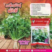 Hot Sale! เมล็ดพันธุ์ผักชี ผักชีทวีคูณ (ไดนามิก) ขนาด 300 กรัม Very Hot