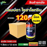 ยกลัง 12 ขวด แลมบ์ดา 1 ลิตร 66 สารกำจัดแมลง? เจ-ฮาโลทริน 1ลิตร ? แลมป์ดา ไซฮาโลทริน แลมบ์ดา ยาน็อคแมลง สูตรเย็น สารกำจัดแมลง ไลก้า แลมด้า