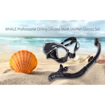 WHALE Professional Diving Silicone Snorkel Glasses Set