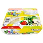 Phô mai hoa quả Kidsmix