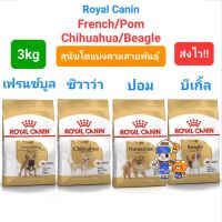 ♀ Canin Chihuahua Pomeranian Beagle French Bulldog 3kg โรยัลคานิน สุนัขโต ชิวาว่า ปอม บีเกิ้ล เฟรนช์บูล 3 กิโลกรัม