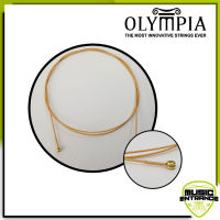 Olympia สายกีต้าร์ปลีก โปร่ง Phosphor Bronze เบอร์ 47