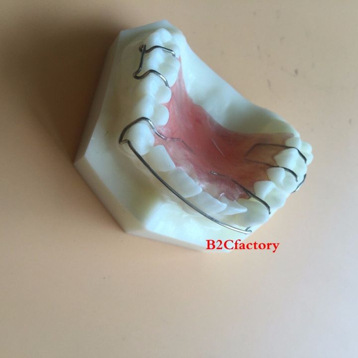 dental-hawley-retainer-model-teeth-study-teach-model-3007-01