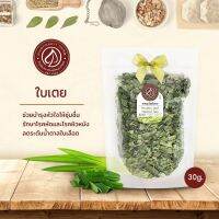 ขายดีอันดับ1 ใบเตย (Pandan Leaf) - ซองใส เลขอ.ย 10-1-13660-5-0025 ส่งทั่วไทย ต้นไม้ ฟอก อากาศ กระถาง ต้นไม้ ไม้ ประดับ ต้นไม้ ปลูก ใน บ้าน