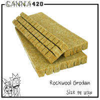 Rockwool แบบแผ่น 98 หลุม เพาะปลูกต้นกล้าเมล็ดพันธ์ุ เพาะชำ ไฮโดรโปนิกส์ ROCKWOOLS