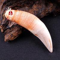 Tiger Tooth Big Cat Tooth Pendant Stationery Collection Animal Teeth