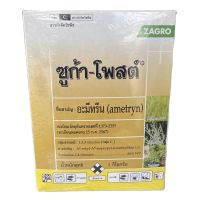 มาใหม่ !!! อะมีทรีน อามีทรีน ซูก้า-โพสต์80 แบบผง ขนาด 1 กิโลกรัม กำจัดหญ้าในไร่อ้อย ไร่สับปะรด