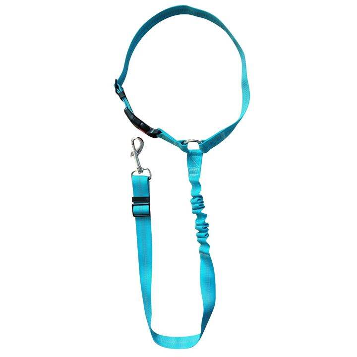 universal-cat-dog-collar-and-leash-set-car-safety-leash-adjustable-telescopic-tow-rope-outdoor-travel-fixing-belt-pet-products-leashes