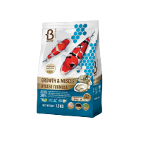 Boost Koi Growth &amp; Muscle Oyster Formula 1.5kg - บูทส์อาหารปลาคาร์ฟสูตรเร่งโต เร่งล่ำด้วยโปรตีนจากหอยนางรม