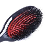 ▦ Oval Boar Bristle Nylon Hair Comb Mini Anti-static Hair Scalp Massage Comb Hairbrush Salon Hair Brush Styling Tool