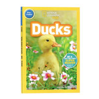 English original picture book National Geographic Kids Readers: ducks duck Encyclopedia of National Geographic Childrens Edition parent-child reading graded reading full-color paperback picture book