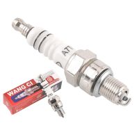 A7TC Motorcycle Platinum Nozzles Spark Plugs For CR6HSA CR7HSA CR7HGP GY6125 Pedal Motorcycle / Horizontal Type 110