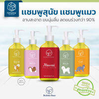 Bubble Bear เเชมพู สำหรับสุนัข เเละเเมว ลดขนร่วง กลิ่นหอมยาวนาน ออเเกนิค 100% ปลอดภัยต่อสัตว์เลี้ยงเเม้น้องเลีย