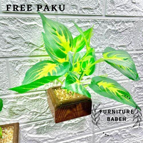 ASRI FURNITURE DAUN SRIGADING SET POT GONI DAN POT TEMPEL DINDING