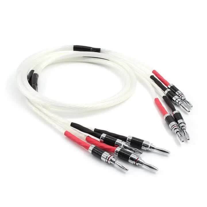 Sepasang HIFI Speaker Cable Hiend OCC Silverplated Speaker Wire untuk