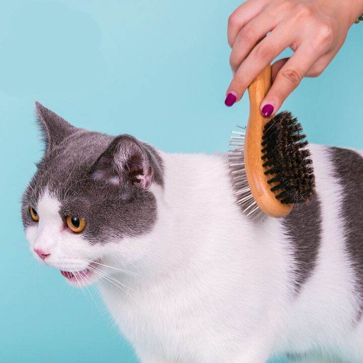 winhyepet-pet-hair-grooming-accessories-hair-removal-bamboo-dog-comb-widened-shedding-brush-dematting-cat-comb-deshedding-tool