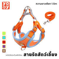 yoyo Pet: สายจูง แมว หมา สุนัข เชือกรัดสัตว์เลี้ยง สายรัด คุณภาพดี สะท้อนแสง มีหลายขนาดให้เลือก