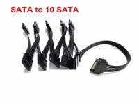 Sata ตัวผู้เป็น12 Sata ตัวเมียฮาร์ดดิสก์ Ssd ฮาร์ดดิสก์สายไฟ1 Splitte ถึง12 15pin Sata สำหรับ Chia Mining Server อย่างหนัก