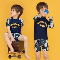 COD DSFERGWETERW Korean Style two piece swimsuit for kids baby Boys Split Boxer Sunscreen Quick Drying Long Sleeved swimwear 2 3 4 5 6 7 8 9 10 years old swimming suit Set