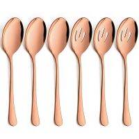 6PCS Slotted Serving Spoons Dinner Spoons Stainless Steel for Party Buffet Restaurant Banquet Dinner Catering