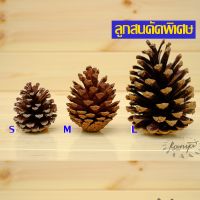 ลูกสน ธรรมชาติ ปลอดสาร คัดพิเศษ ตกแต่งต้นคริสต์มาส ลูกสนแห้ง  ไซส์เล็ก กลาง ใหญ่ ลูกสนสวยๆ  christmas คริสต์มาส พร๊อบถ่ายรูป ลูกสนฟัน