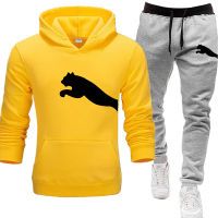 new Autumn and winter Mens Sets hoodies+Pants Sport Suits Casual Sweatshirts Tracksuit 2021 Brand Sportswear