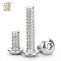 304 Stainless Steel Button Head