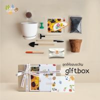 ?Pro ดี! ชุดปลูกดอกไม้ GiftBox เซตให้ของขวัญ Wow สุด