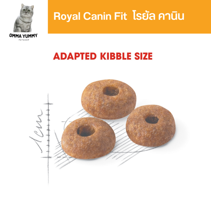 royal-canin-fit-1kg-อาหารเม็ดแมวโต-รูปร่างดี-อายุ-1-ปีขึ้นไป-dry-cat-food-โรยัล-คานิน